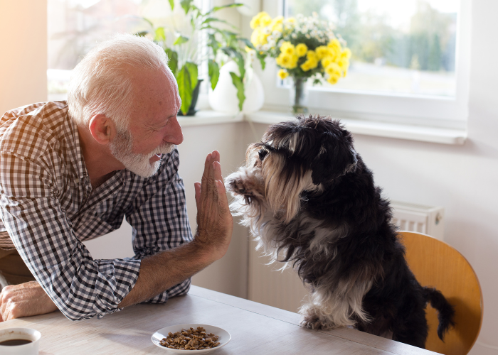 Pensionär koos koeraga.